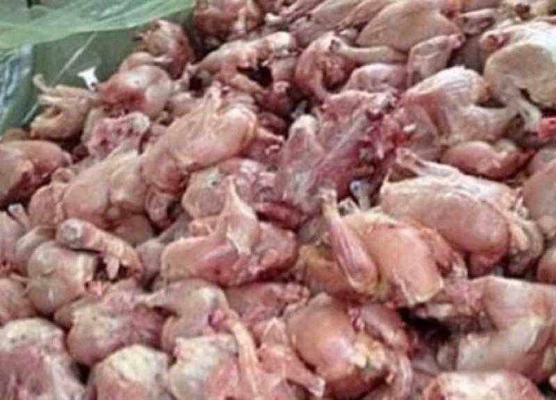 ضبط 19 طن لحوم ودواجن غير صالحة للاستهلاك الآدمي بالقاهرة والقليوبية