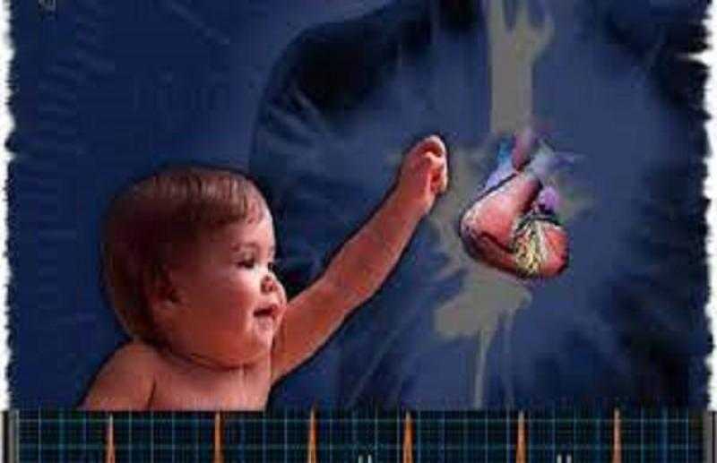 استشاري طب الأطفال توضح الحالات التي يصاب فيها الطفل بتصلب الشرايين