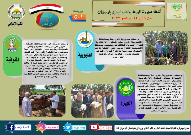 انفوجراف أنشطة مديريات الزراعة 