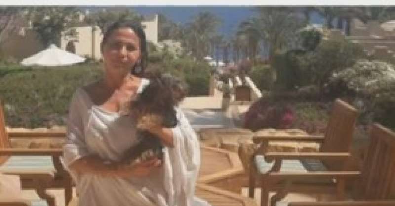 أول مصرية توثق توكيل رسمي للتبرع بأعضائها 