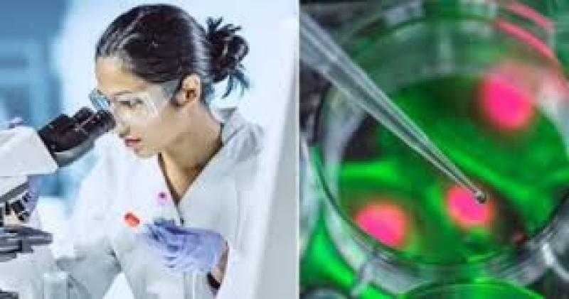 8 وفيات..انتشار الكوليرا في سوريا