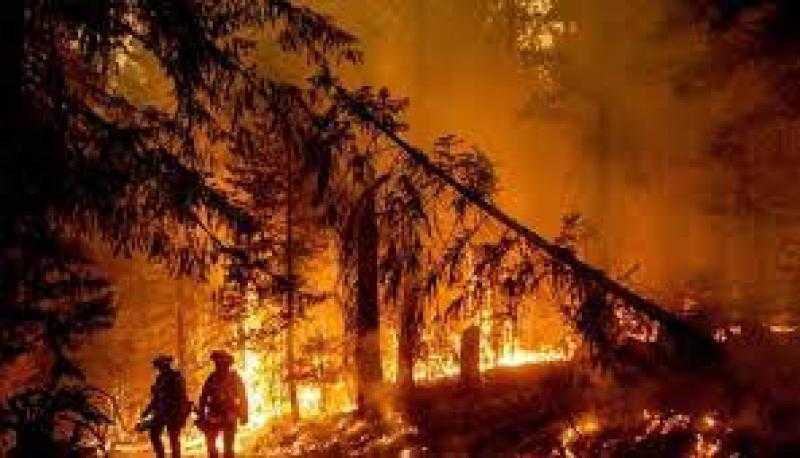 بسبب الحرائق.. إجلاء أكثرمن 500 شخص من جنوب غربى فرنسا