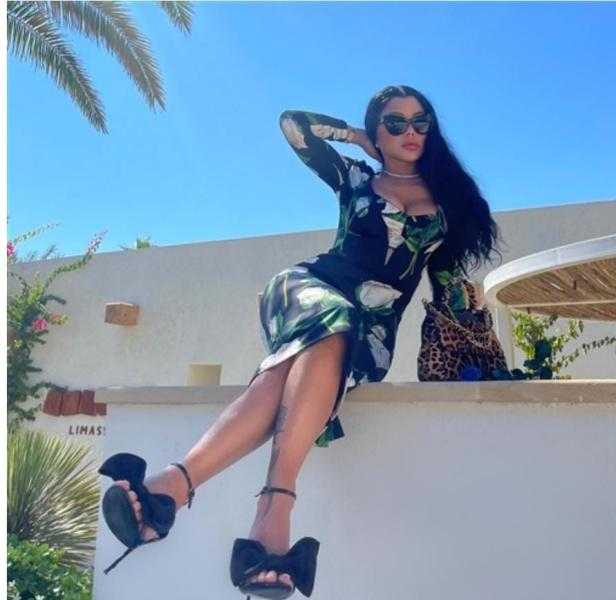 بـ 37 ألف جنيه.. هيفاء وهبي تثير الجدل بفستانها