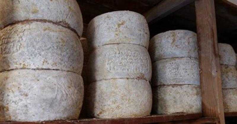 القبض على مسئول مصنع جبن منتهية الصلاحية بالقطامية