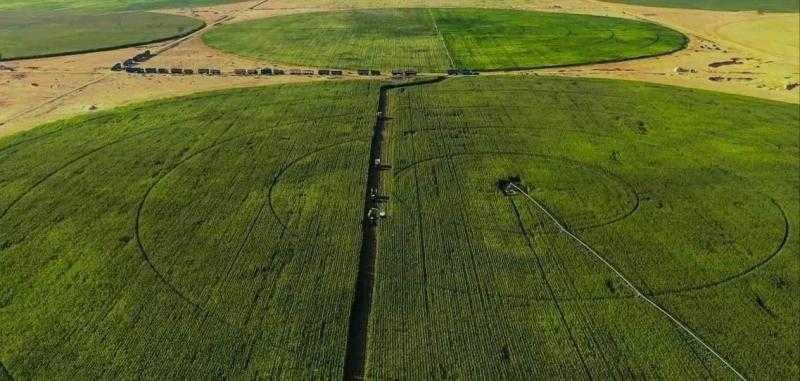 الزراعة: نستهدف سد احتياجات السوق لتقليل فاتورة الاستيراد