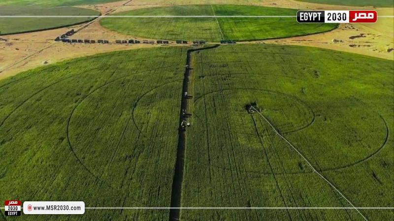  مشروع الدلتا الجديدة