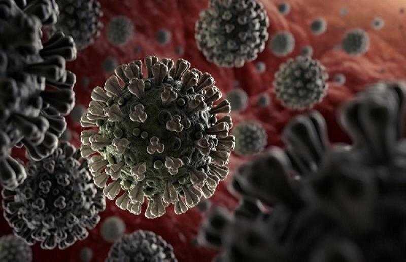 عوض تاج الدين يحذر: «كورونا مخلصتش والوباء منتشر عالميا» - فيديو