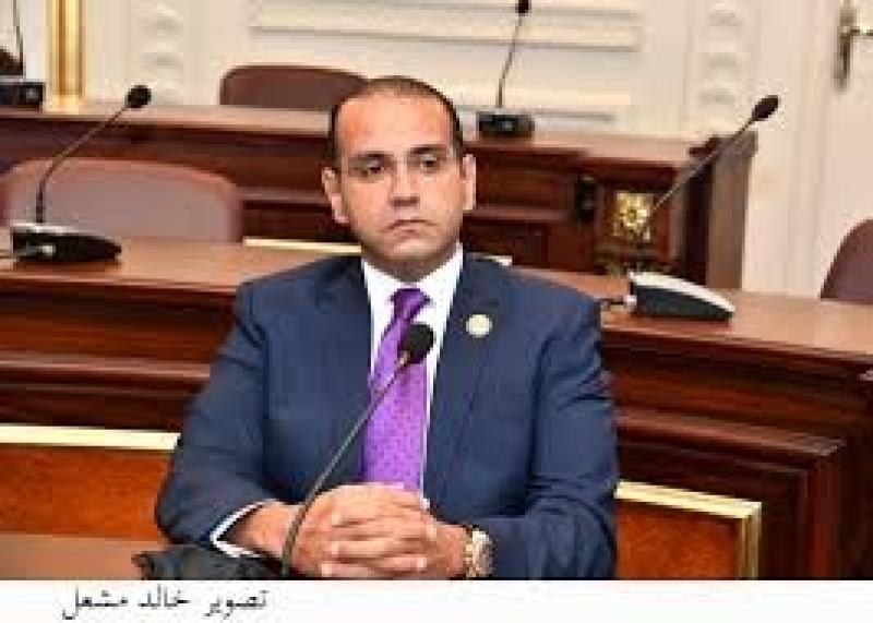محمد المنزلاوي