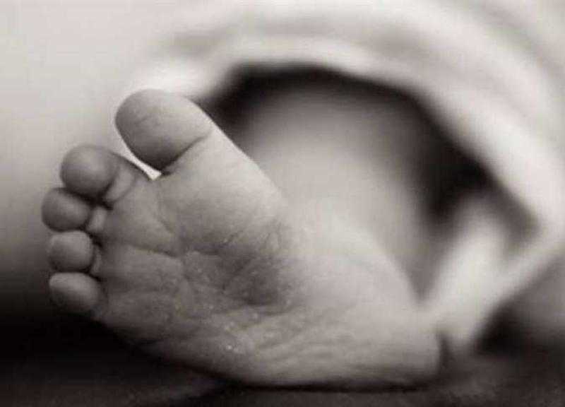 صحة النواب عن زيادة وفيات الأطفال حديثي الولادة: الأمهات السبب