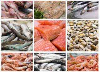 أسعار الأسماك اليوم الجمعة للمستهلك.. «السالمون بـ380 جنيهًا»