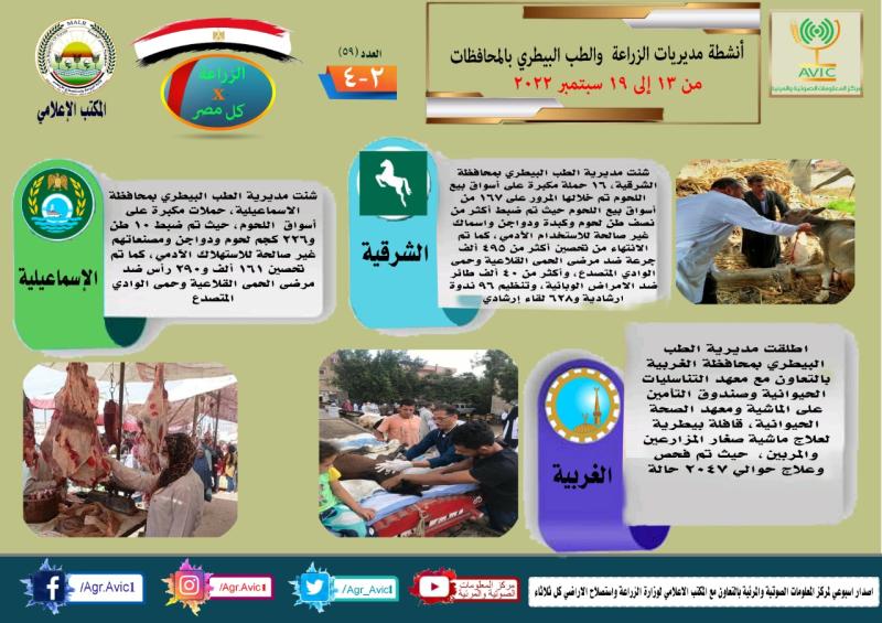 إنفوجراف 