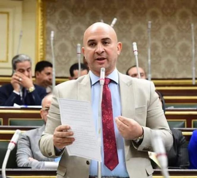 النائب طارق الطويل عضو مجلس النواب
