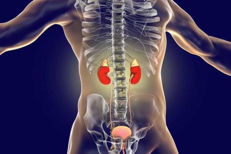 أعراض تشير إلى تلف الكلى.. لا تهملها