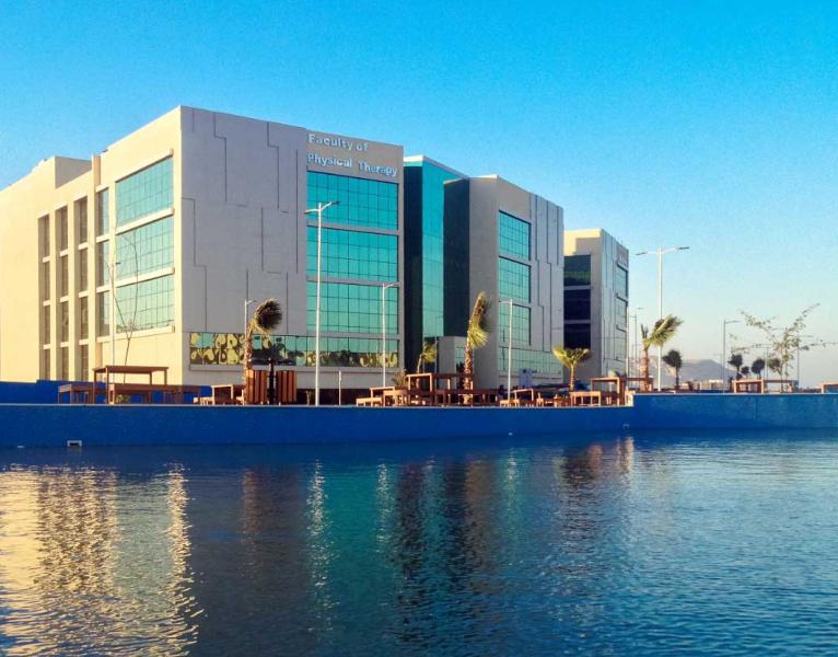 جامعة ميريت