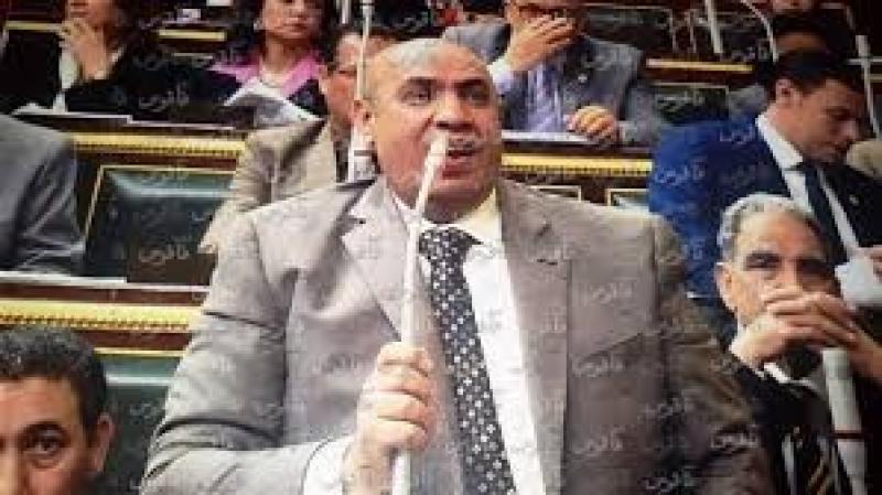 النائب علاء عبد النبي