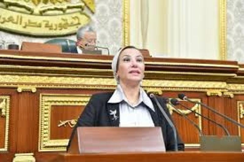 النائبة سميرة الجزار