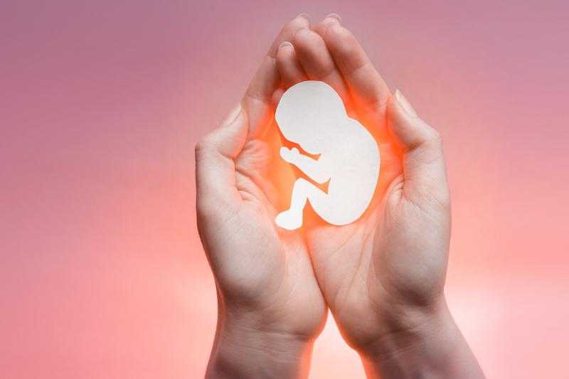 «يعملوها الصغار ويقع فيها الكبار».. إصابة سيدة بنزيف حاد وإجهاض جنينها بسبب خناقة أطفال