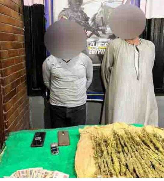 ضبط تاجري بانجو في محافظة القاهرة