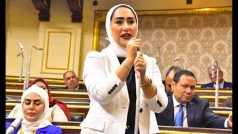 النائبة آية فوزى فتى