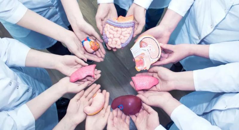 إقرار بـ 50 جنيهًا.. ما هي الشروط الواجبة للتبرع بالأعضاء؟