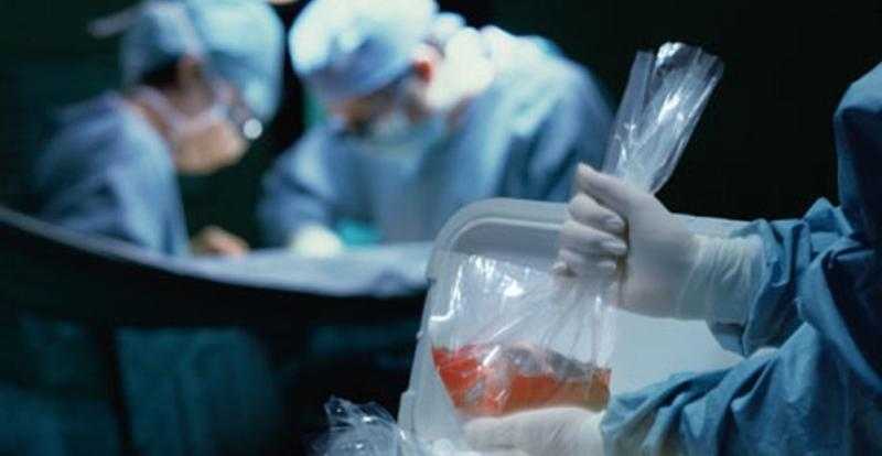 هل يجوز التبرع بالأعضاء التناسلية؟.. مفاجأة «فيديو»