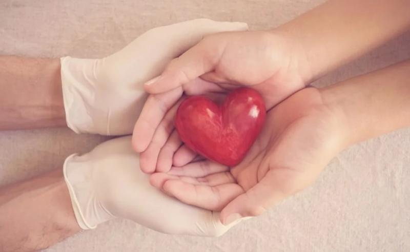 متى يُحرم التبرع بالأعضاء؟.. البحوث الإسلامية تكشف حالة واحدة