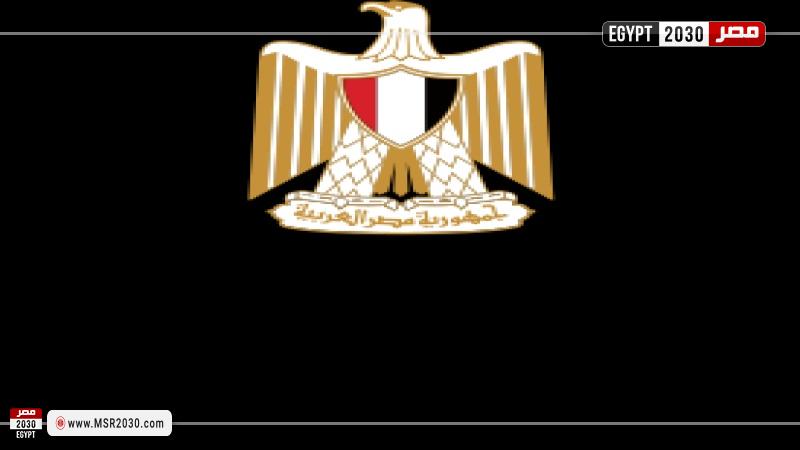 وزارة الخارجية المصرية 