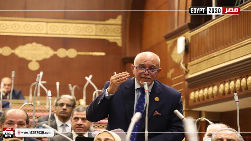 النائب حازم الجندي