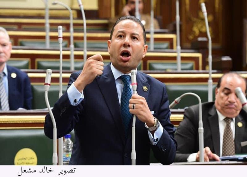النائب حسن عمار 