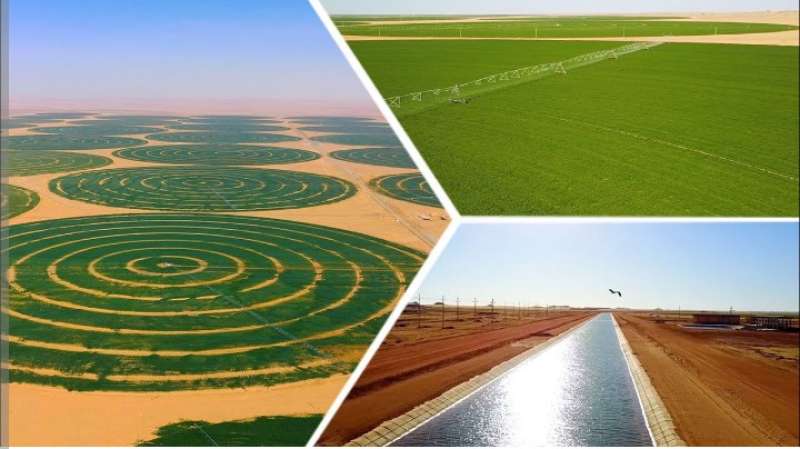مشروع توشكى