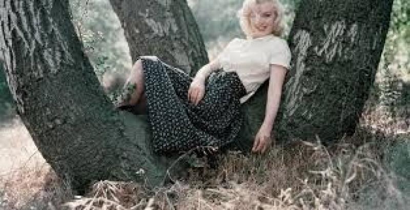 الناس مش قادرة تكمله.. فيلم مارلين مونرو يواجه انتقادات صارخة من الجمهور