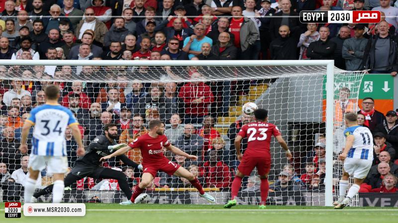 ليفربول ضد برايتون