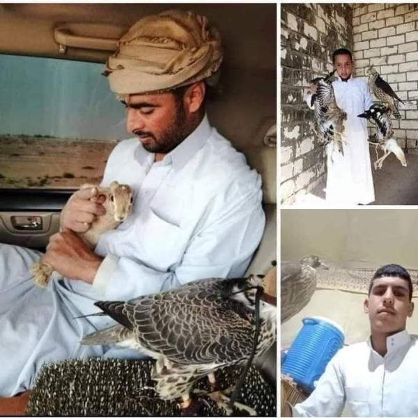 حادث مفقودين مطروح بالصور