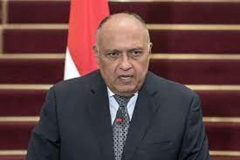 وزير الخارجية، سامح شكري