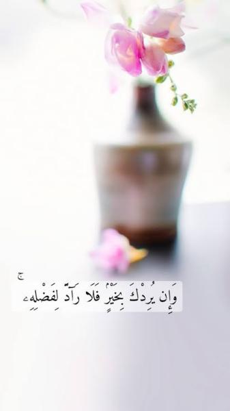 ما معنى قوله تعالى ”وإن يردك بخير فلا راد لفضله”؟