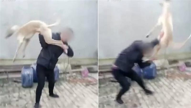 صورة ارشيفية 