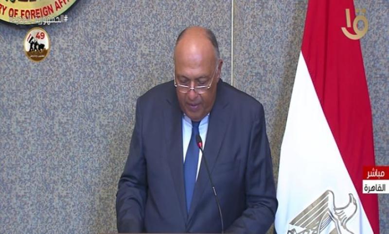 شكري: ناقشت مع نظيري اليوناني الإعداد للقمة الثلاثية بين مصر وأثينا وقبرص