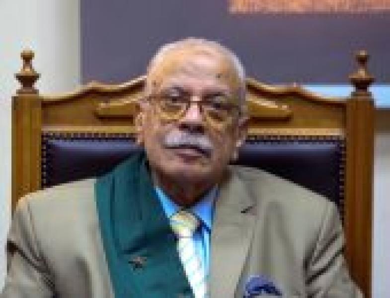 المستشار محمد حماد