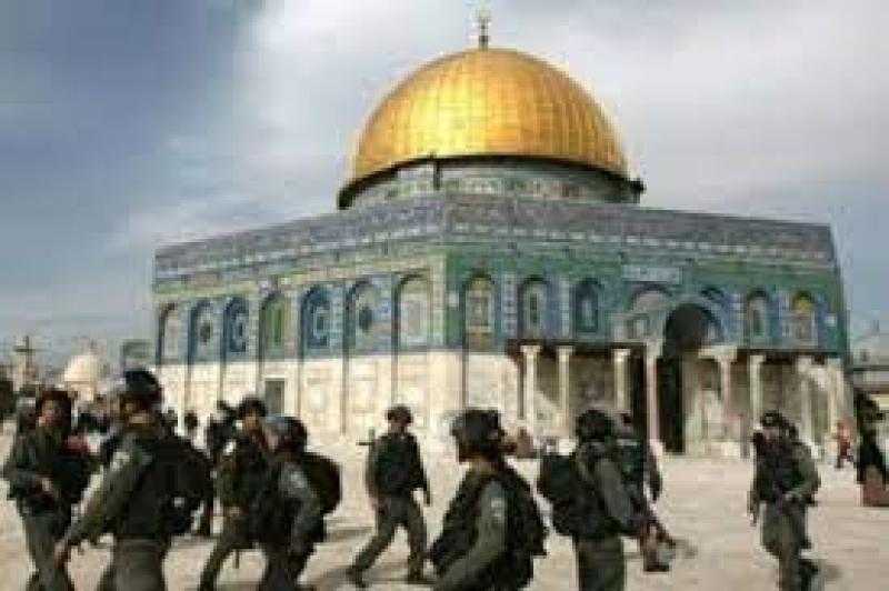 في عيد العرش اليهودي.. مستوطنون يحرقون نسخا من القرآن الكريم ويلقونها بالقمامة في مدينة الخليل
