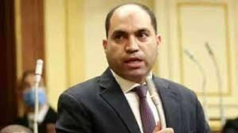 عمرو درويش عضو مجلس النواب
