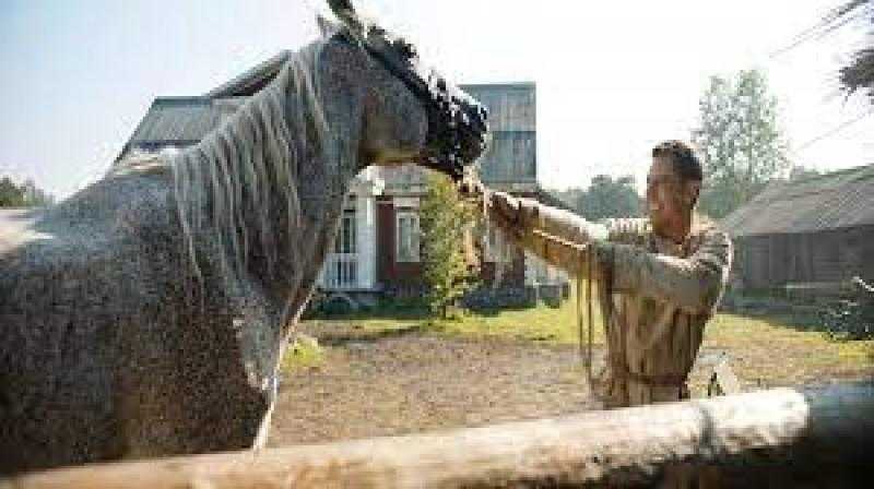 عرض الفيلم الروسي «جولوب» في مهرجان البحرين السينمائي 2022