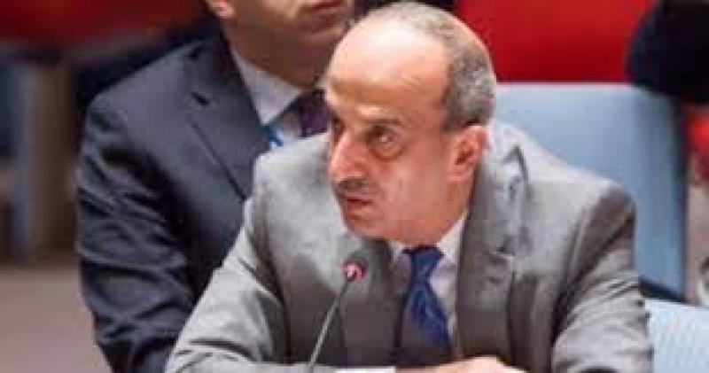 مندوب مصر الدائم لدى الأمم المتحدة 