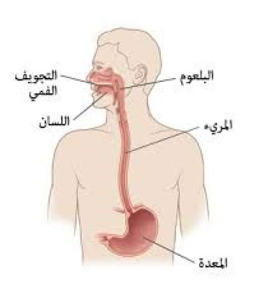 تعبيرية