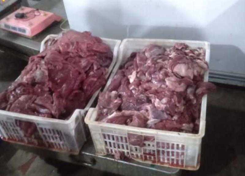 التحفظ على 7.5 طن لحوم مجمدة فاسدة داخل مصنع صناعات غذائية بالقاهرة