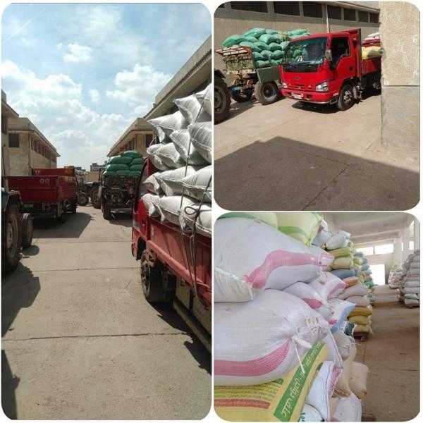 ضبط قائد سيارة جمع 11.29 طن أرز شعير بالبحيرة