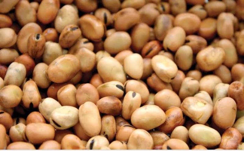 سعر الفول البلدي اليوم السبت عند التاجر.. «وجبة المصريين بقت بكام»