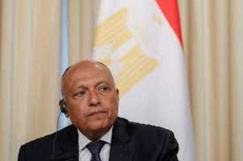 وزير الخارجية: الدول النامية تعاني من التشاحن العالمي والصراع العسكري الراهن