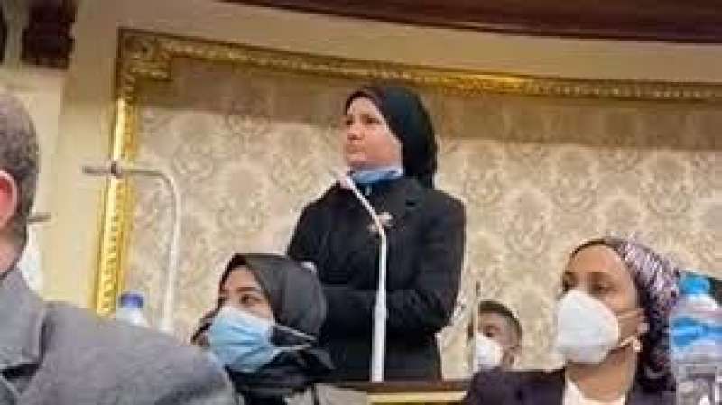 النائبة رحاب عبدالغني