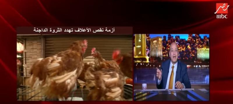 عمرو أديب: «الناس بقت عبد الباسط حمودة.. ولا حياة لمن تكاكي»- فيديو