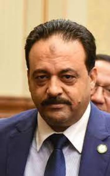 النائب أحمد إسماعيل